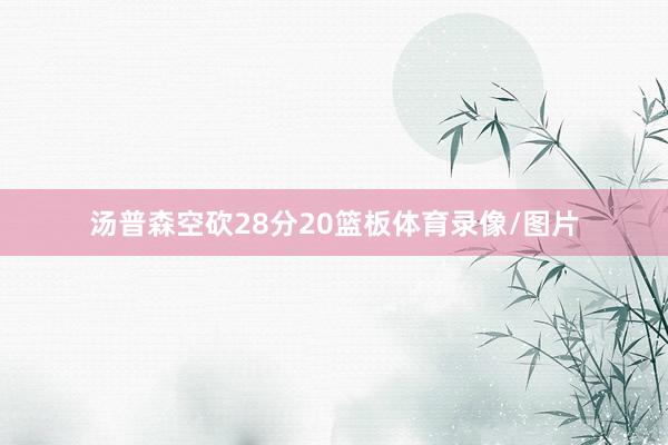 汤普森空砍28分20篮板体育录像/图片