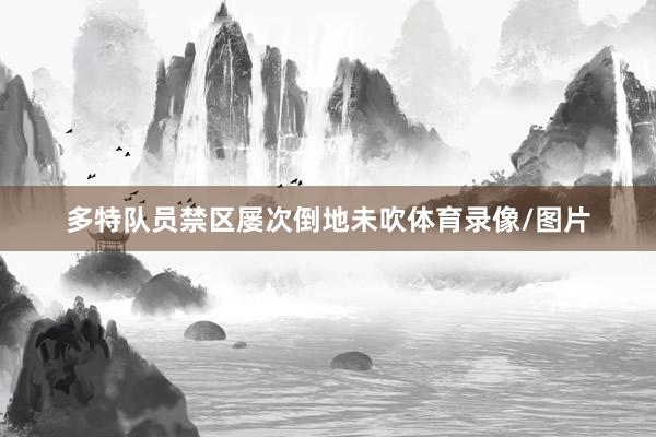 多特队员禁区屡次倒地未吹体育录像/图片