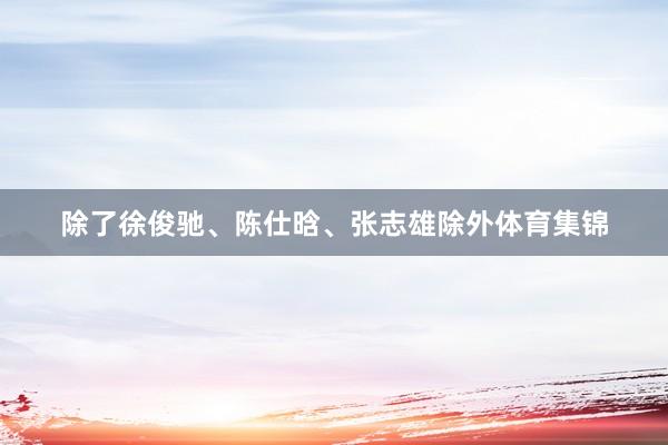 除了徐俊驰、陈仕晗、张志雄除外体育集锦