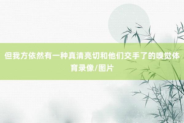 但我方依然有一种真清亮切和他们交手了的嗅觉体育录像/图片