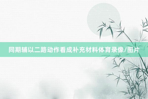 同期辅以二路动作看成补充材料体育录像/图片