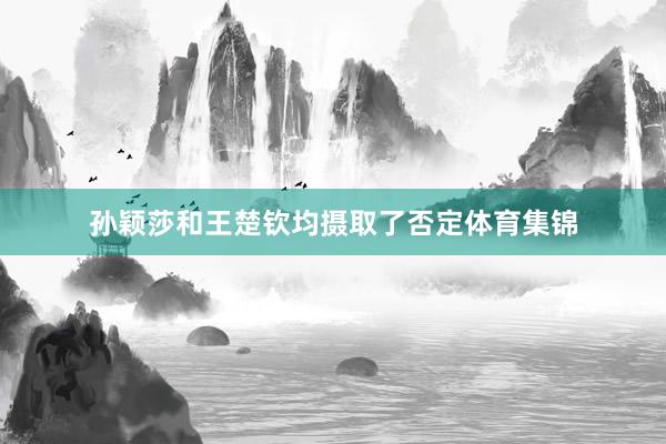 孙颖莎和王楚钦均摄取了否定体育集锦