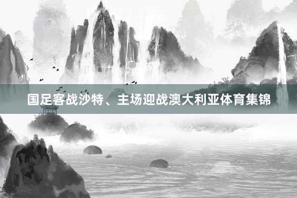国足客战沙特、主场迎战澳大利亚体育集锦