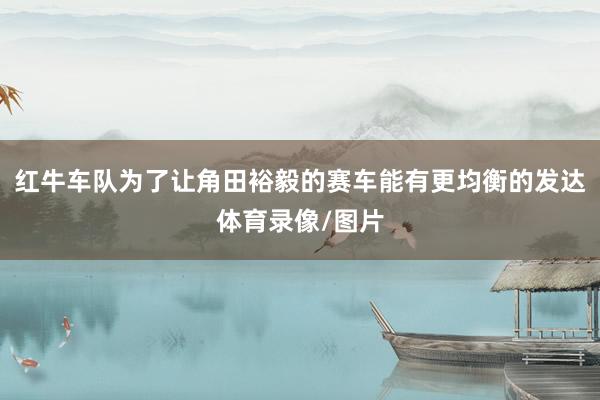 红牛车队为了让角田裕毅的赛车能有更均衡的发达体育录像/图片