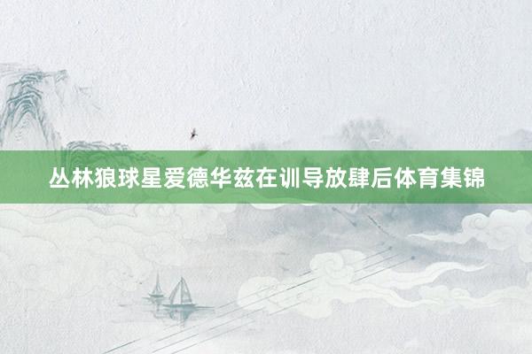 丛林狼球星爱德华兹在训导放肆后体育集锦
