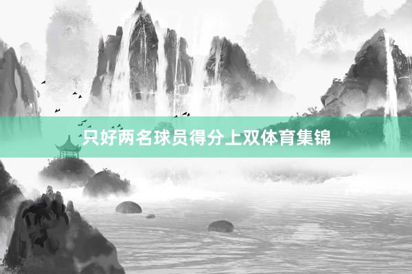 只好两名球员得分上双体育集锦