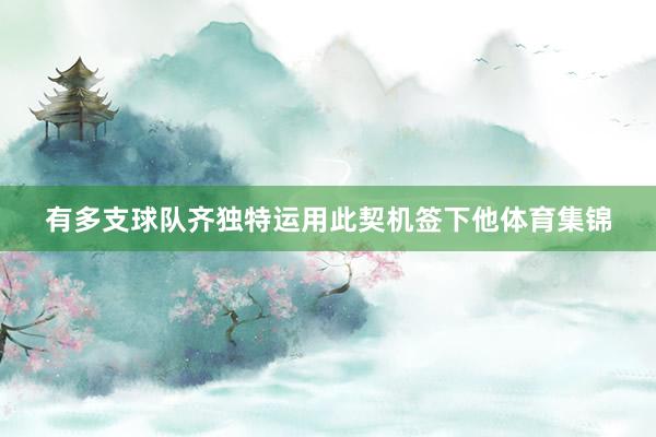 有多支球队齐独特运用此契机签下他体育集锦