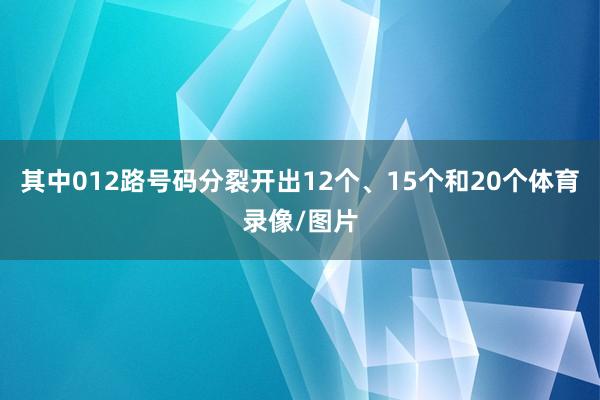 其中012路号码分裂开出12个、15个和20个体育录像/图片