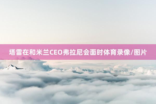 塔雷在和米兰CEO弗拉尼会面时体育录像/图片