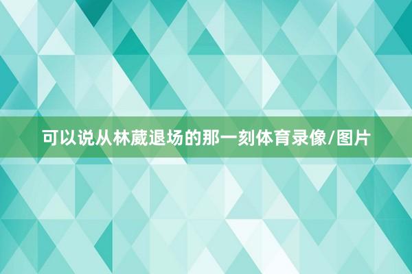 可以说从林葳退场的那一刻体育录像/图片