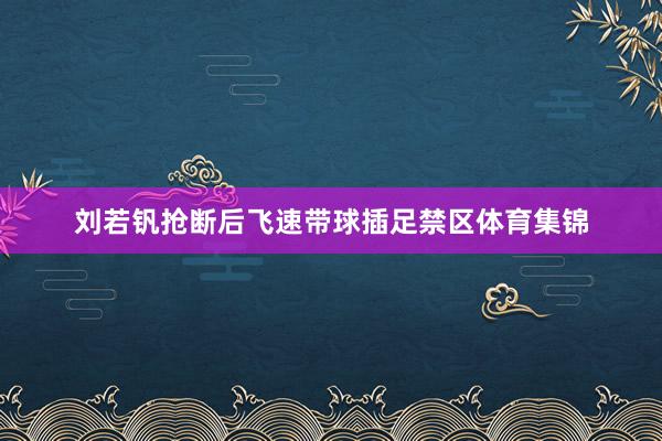 刘若钒抢断后飞速带球插足禁区体育集锦
