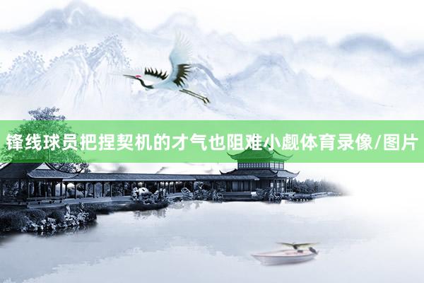锋线球员把捏契机的才气也阻难小觑体育录像/图片