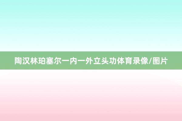 陶汉林珀塞尔一内一外立头功体育录像/图片