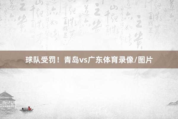 球队受罚！青岛vs广东体育录像/图片
