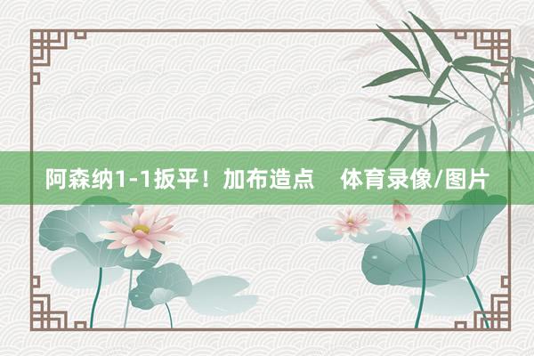 阿森纳1-1扳平！加布造点    体育录像/图片