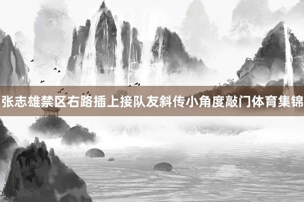 张志雄禁区右路插上接队友斜传小角度敲门体育集锦