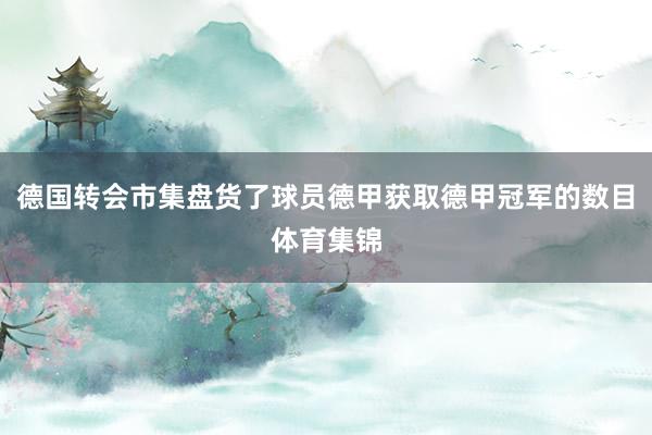 德国转会市集盘货了球员德甲获取德甲冠军的数目体育集锦