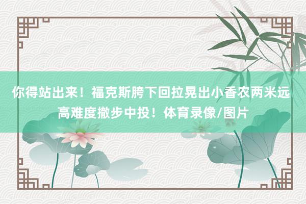你得站出来！福克斯胯下回拉晃出小香农两米远 高难度撤步中投！体育录像/图片